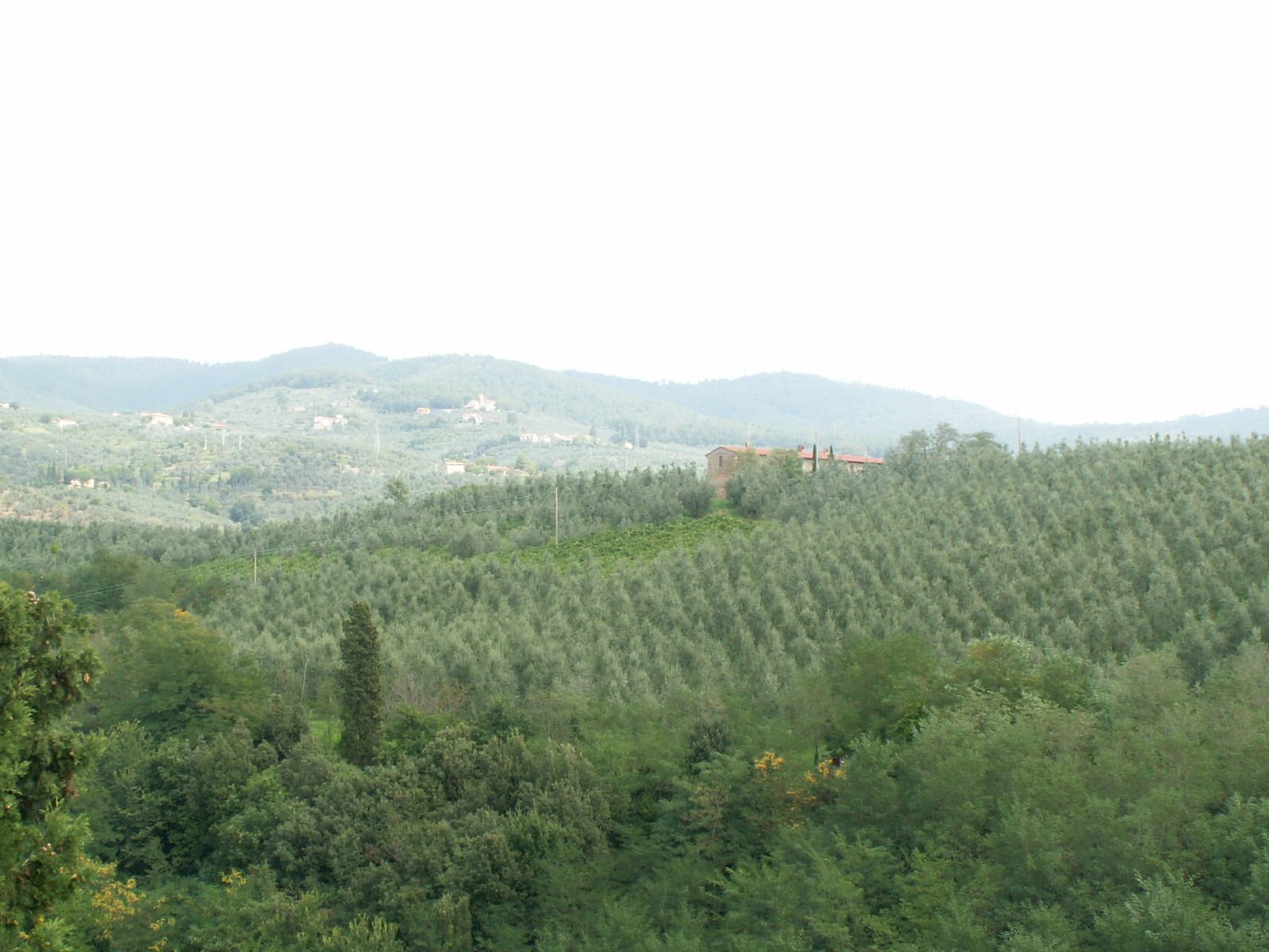 Vinci, Toscania